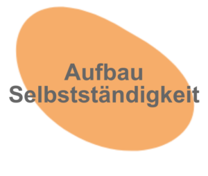 Vertrieb von Online Coaching Programmen