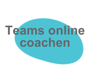 Online Coaching im Unternehmens-Kontext