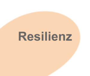 Antifragilität - Resilienz weitergedacht