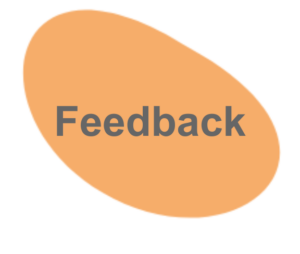 Feedback in sozialen komplexen Systemen