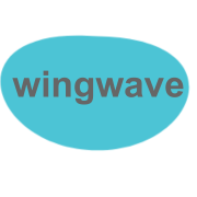 wingwave: Die Abgrenzung von wingwave zu EMDR und deren Potentiale zur Steigerung der Emotionalen Intelligenz im Management von Unternehmen